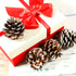 Cooraby 24 Pieces Christmas Pine Cones Ornament, Natural with String for Tree Decoration (Snow)