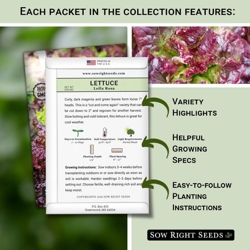 Packets Sow Right Seeds - Lettuce Seed Collection for Planting - Buttercrunch, Giant Caesar, Salad Bowl, and Lolla Rosa