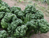 (3.0g) 95% Gaea's Blessing Seeds - Spinach Seeds - Bloomsdale Spinach Non-GMO Seeds with Easy to Follow Planting