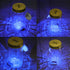Glass Animated Butterfly in a Jar with LED Light - Gift Decoration (Blue)