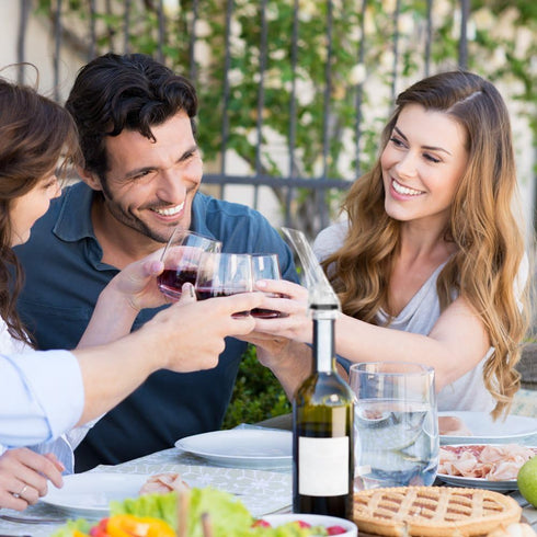 Premium Wine Aerator Spout for Enhanced Flavor