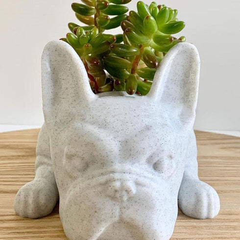 White Resin Dog Succulent Planter, Cute French Bulldog Shape Mini Puppy Air Plant Planter for Home Garden Decor