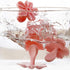 2-Inch Pastry/Cookie/Fondant Stamper, 4 Stamps Pink Cherry Blossom Shape Flower Hand Pressure Pastry Tool Set
