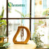 Plant Propagation Stations Wall Hanging Terrariums Home Decor Plants Glass Test Tube Planter with Wooden Stand