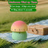 60 Countdown Cute Mushroom Timer for Kids, High Volume Mechanical Kitchen Timer, Wind Up Minutes Manual Timer