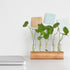5 YIBOT Propagation Stations, Plant Terrarium with Wooden Stand, Glass Test Tubes Vases, Birthday Gardening Gifts