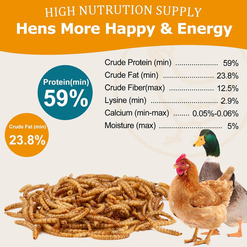 5LB Dried Mealworms, Non-GMO Meal Worms for Chickens & Birds, High Protein Chicken Feed, Natural Chicken Worms Ideal