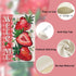 Welcome Spring Summer Strawberry Decorative House Flag, 28 x 40; Red Fruit Plaid Check Farmhouse Garden Yard Outside