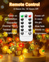 16.4FT 50 3D btfarm Fall Decor LED Pumpkin Maple Leaf Acorn Fairy String Lights Battery Operated with Remote Timer