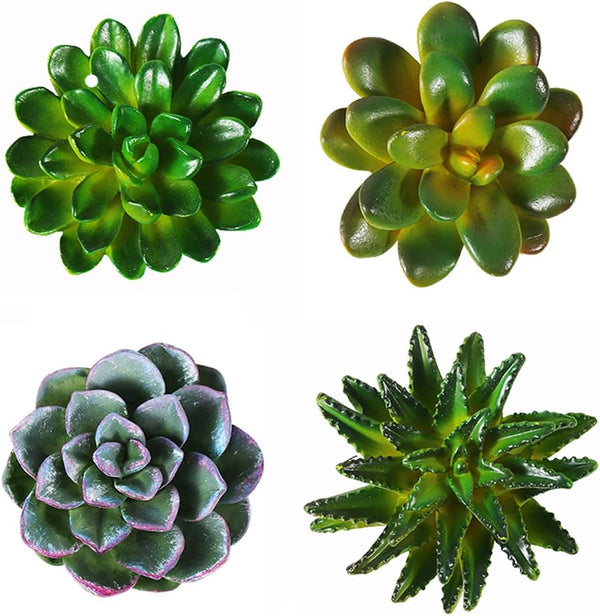 CoCoMe Funny 3D Resin Succulent Fridge Magnets, Set of 4