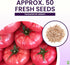 Pink Brandywine Tomato Seeds for Planting Heirloom, Large & Juicy One of the Most Delicious Tomatoes for Home Growing
