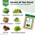 8 600+ 4 Lettuce Seed Pods for All Hydroponics Growing System, Pods with Seeds of Romaine/Butter Head/Red&Green