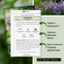 Common Packet (3) Sow Right Seeds - Chives Seed for Planting - Non-GMO Heirloom with Instructions to Plant and Grow