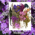 Vignee Real Dried Pressed Leaf Flowers, Colorful Daisies for Craft Resin Jewelry Making Art Craft DIY (Blue & Purple)