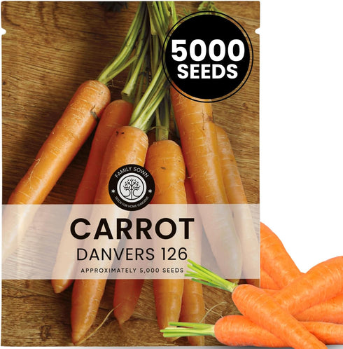 Carrot Danvers 126 5,000 Premium Seeds for Planting Classic, Reliable Heirloom Variety