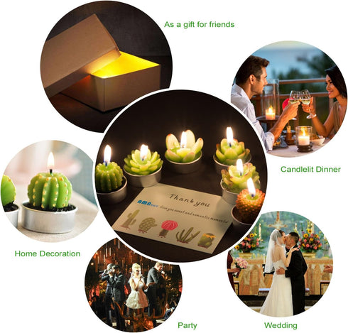 Handmade Succulent Cactus Candles for Birthday Party, Wedding, Spa Home Decoration (12 Packs-2)