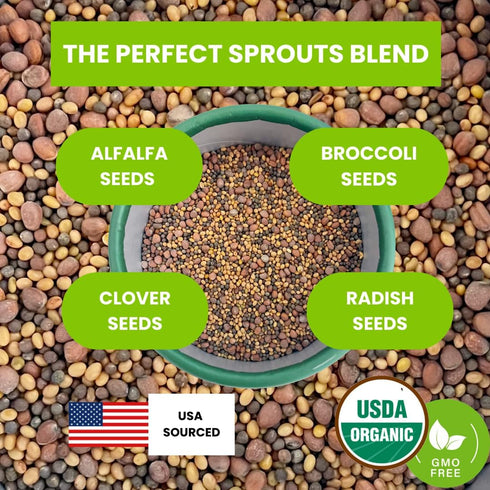 (0.5 lb) ZestiGreens Fresh Sprouting Seeds Mix Broccoli, Alfalfa, Radish, Clover Seeds in Food Grade Colorful Container