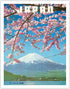 Japan - Mount Fuji in Spring - Vintage Travel Poster c.1960s - Cherry Tree Blossoms Fine Art Print (Unframed) 11x14in