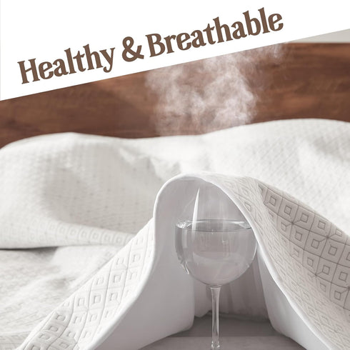 BEDLORE Waterproof Twin XL Mattress Protector - Noiseless Cover with Stretchable Pockets for 6-14 inches Mattress, Soft