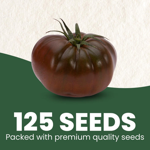 125 2026 600 Cherokee Purple Tomato Premium Seeds for Planting Rich, Juicy, Historic Heirloom for the Season Milligram