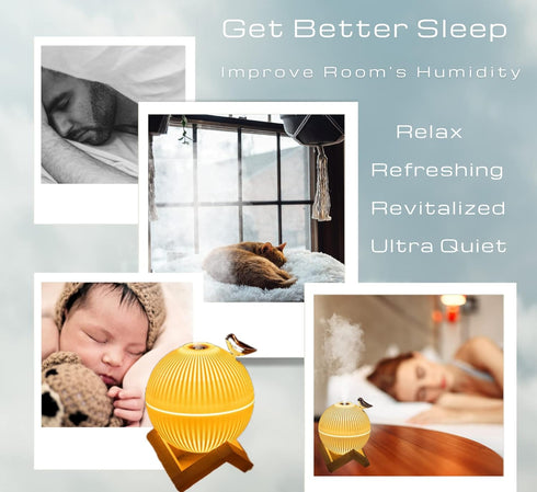 Lark Mini Humidifier - Portable Air Humidifier with USB for Bedroom, Desk, Plants & Baby Nursery, Auto Shut-Off