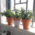 Supla 3 Pcs Realistic Eucalyptus Leaves Bushes, Faux Greenery Stems in Grey Green 14.6" Tall for Vase Bouquets Wreaths