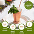 Sol Living Mint Julep Cups Set of 4, 12 oz Stainless Steel Lining Copper Cups for Cocktails and Mixed Drinks Barware Set