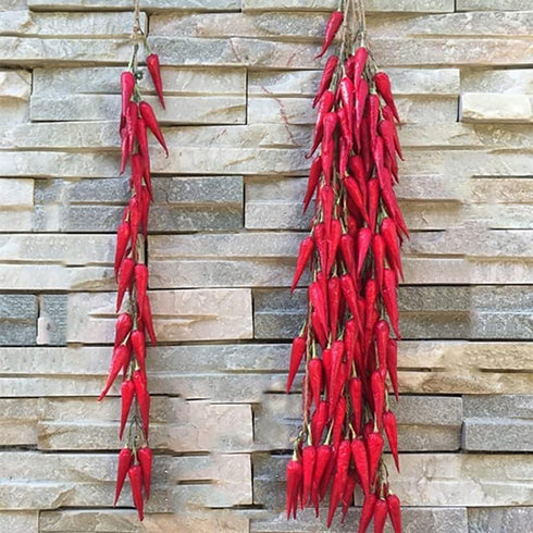 5pack Simulation Artificial Lifelike Fake Vegetables, Garlic, Red Pepper, Onion Hanging Rope Home Decor Props