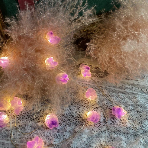 Genuine Amethyst Crystal Decorative Lights, Cute Fairy String Lights 10ft with 30 Natural Stones and Remote