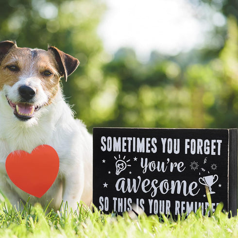 Inspirational Wooden Box Sign, "Sometimes You Forget You're Awesome" Rustic Black Wood Block Plaque for Home Office
