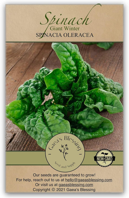 Gaea's Blessing Seeds - Spinach Seeds (3.0g) - Giant Winter Spinach Non-GMO