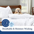 Cosy House Collection Set of 2 Luxury Cooling Pillow Cases - Standard, Silver, Breathable & Cooling with Envelope