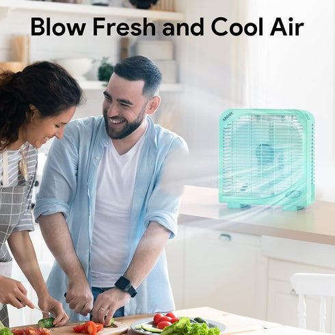 shinic 10" Tabletop Box Fan, 2 Speeds Quiet Fan with Strong Airflow, Portable for Bedroom, Kitchen, Office