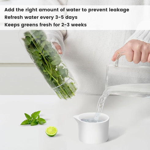 UEOZ 2-3 (4PCS) Herb Keeper for Refrigerator, Herb Saver for Refrigerator, Vegetable Preservation Bottle for Cilantro