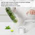 UEOZ 2-3 (4PCS) Herb Keeper for Refrigerator, Herb Saver for Refrigerator, Vegetable Preservation Bottle for Cilantro