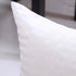 EvZ Premium Pillow Insert Sham - Square Form Polyester (18" X 18", Set of 2)