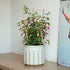 3Pack 16 Inch COLOtime Bamboo Trellis Fan Shaped Small Plant Trellis for Indoor Potted Plants Climbing Monstera Orchid