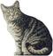 Manual Cat Shaped Pillow, 11 x 16-Inch