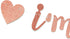 I'm 50 Bitches Banner, Funny 50th Birthday Party Decor, Women's 50th Birthday Decorations (Rose Gold)