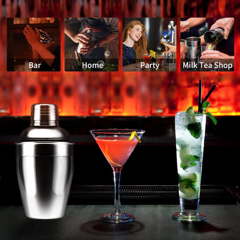 Newness Stainless Steel Cocktail Shaker - Professional Drink Shaker with Built-in Strainer, 8.4oz (250ml) for Easy Carry