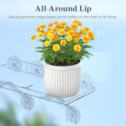 6" 2 Pack, 38 15 cm/15.2x6 Lifewit Extra Wide & Strong Window Plant Floating Shelves Heavy Duty Acrylic Suction Cup