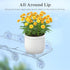 6" 2 Pack, 38 15 cm/15.2x6 Lifewit Extra Wide & Strong Window Plant Floating Shelves Heavy Duty Acrylic Suction Cup
