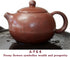 Teapot 270ml Clay Xishi Pots, China Gongfu Tea Infuser for Loose Tea, Blooming
