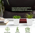 24Pcs 3" Anyumocz Square Plastic Plant Pots,White Nursery Pots with Saucers,Seedling Nursery Transplanting Planter