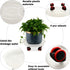 6 Packs 11.8 inches Large Plant Caddy Plant Saucers on Wheels Rolling Plant Stands Heavy-Duty Plant Dolly Plastic
