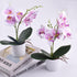 XONOR 2 Pieces Artificial Orchid Flowers, Potted Fake Orchids with Plastic Vase for Home Decor, Office, Wedding