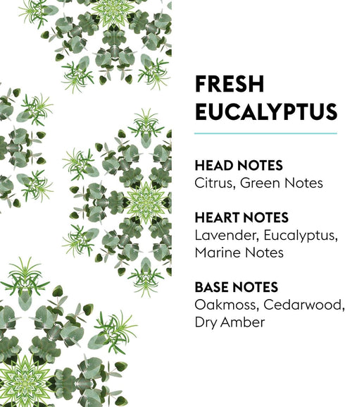 MAISON BERGER Fresh Eucalyptus Fragrance Refill for Reed Sticks and Ceramic Diffuser, 6.76 Fluid Ounces