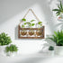 Gradient Brown Plant Propagation Station with Wooden Stand - Rustic Wall Decor for Plant Enthusiasts