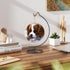 LEYAFADOCO Ornament Display Stand Holder Iron Hanger Air Plant Stand Flower Pot Holder Iron Stand for Hanging Glass