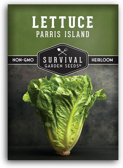 Romaine Lettuce Seeds for Planting Parris Island Cos Heirloom Variety with Crisp,